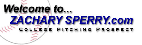 zacharysperry.com
